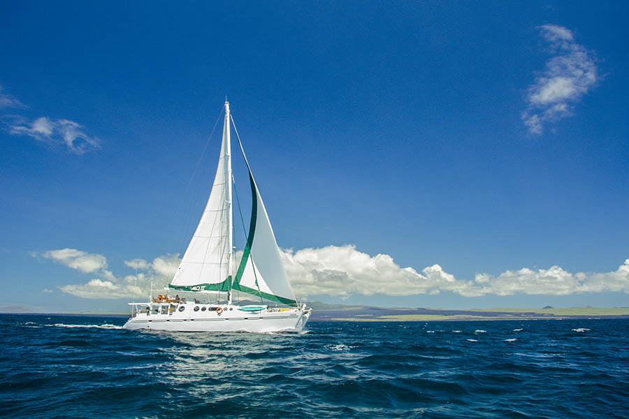The Nemo II is the only ship of its kind in the Galapagos