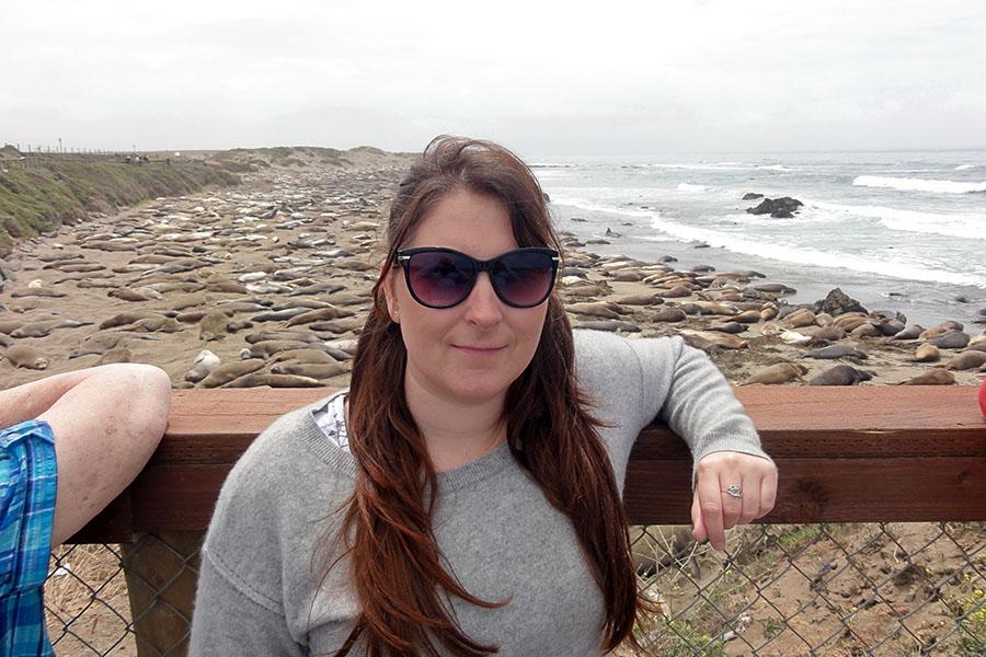 The entire beach was covered in seals!