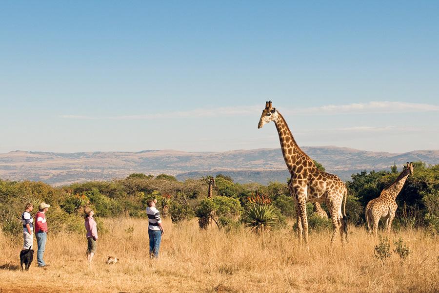 Get up close to the "Big 5"