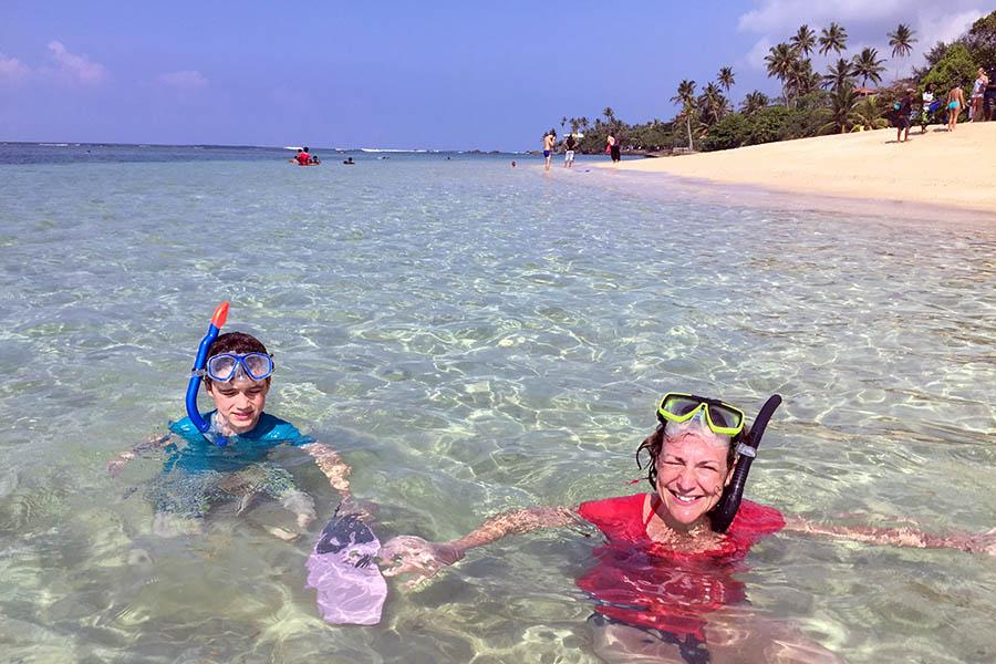 Polhena Beach is a great place to swim with giant turtles