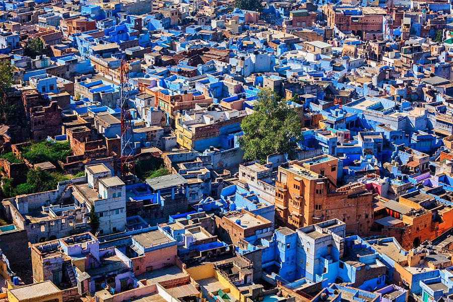 Get spectacular views of Jodhpur - the Blue City