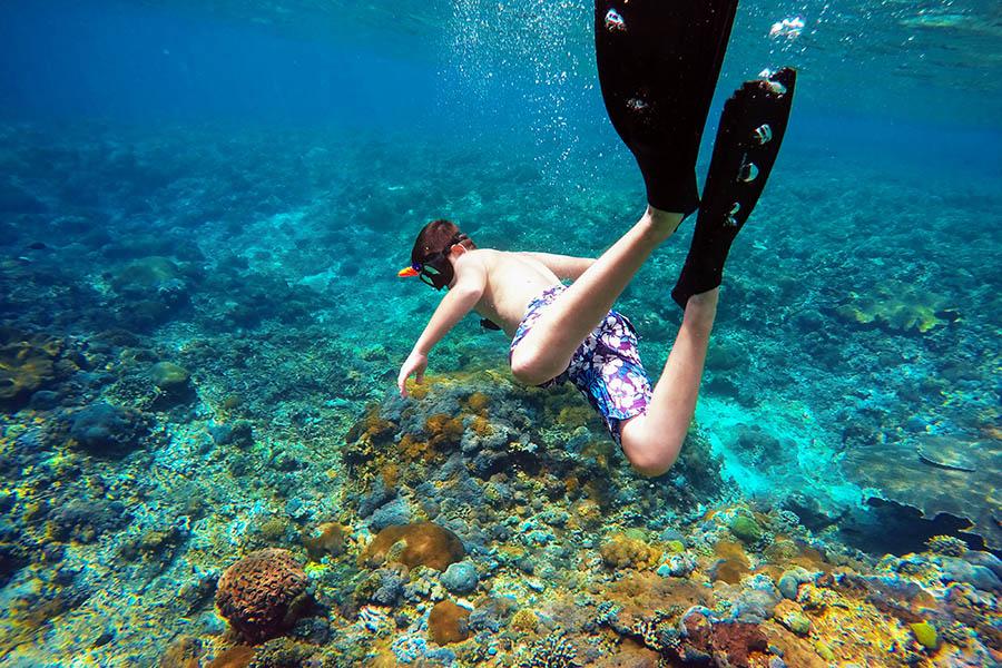 Medical cover is the most crucial part of any travel insurance policy