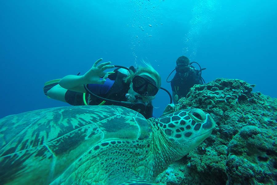 indonesia_gili_air_diving_anna_900x600