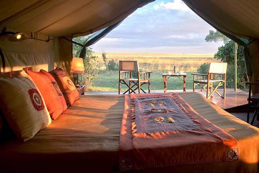 An oasis of luxury in the savannah