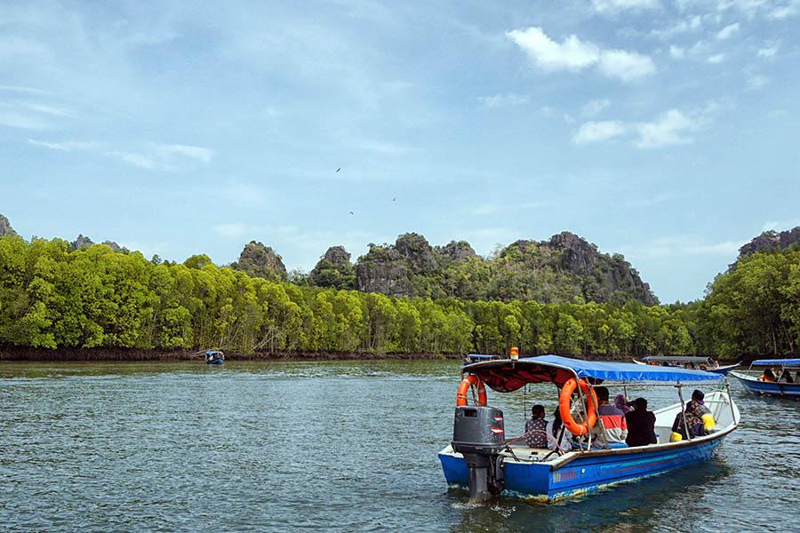 We’ve included a tour of the mangroves