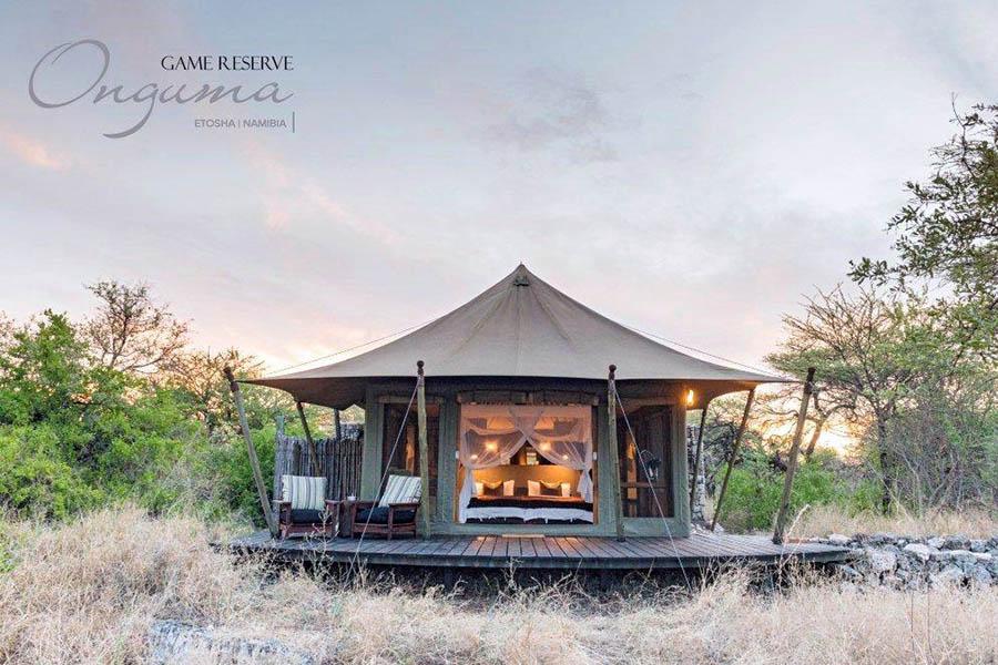 This camp is a wonderful place to stay, especially for honeymooners