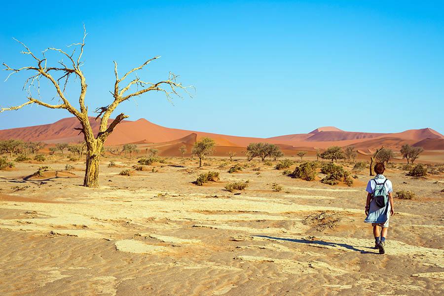 Explore the spectacular landscapes of Sossusvlei