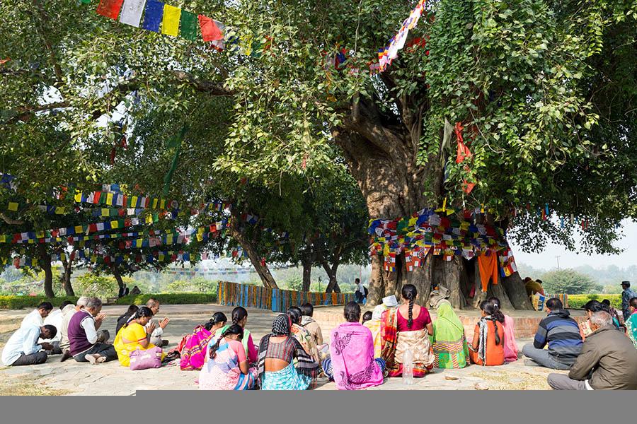 Lumbini is a holy place for all Buddhists