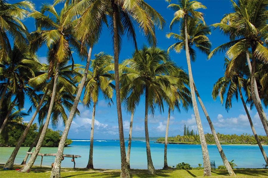 Take a flight to palm fringed Lifou Island