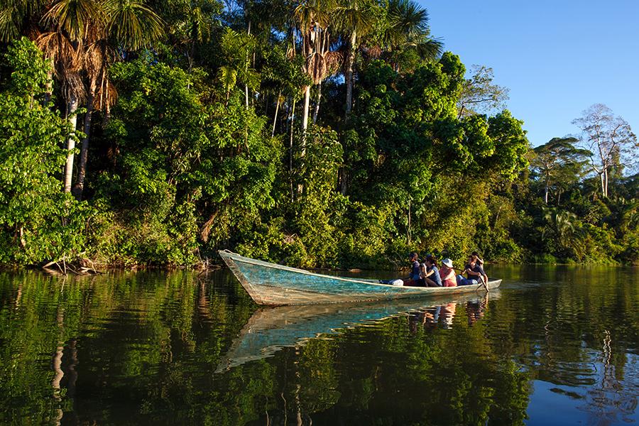 Discover the wildlife along the Madre de Dios river