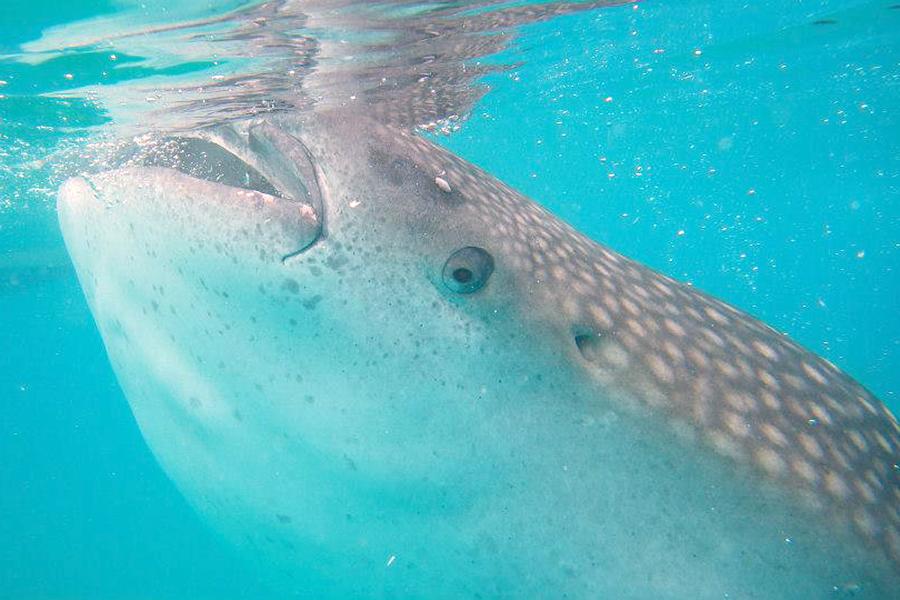 Up close and personal!