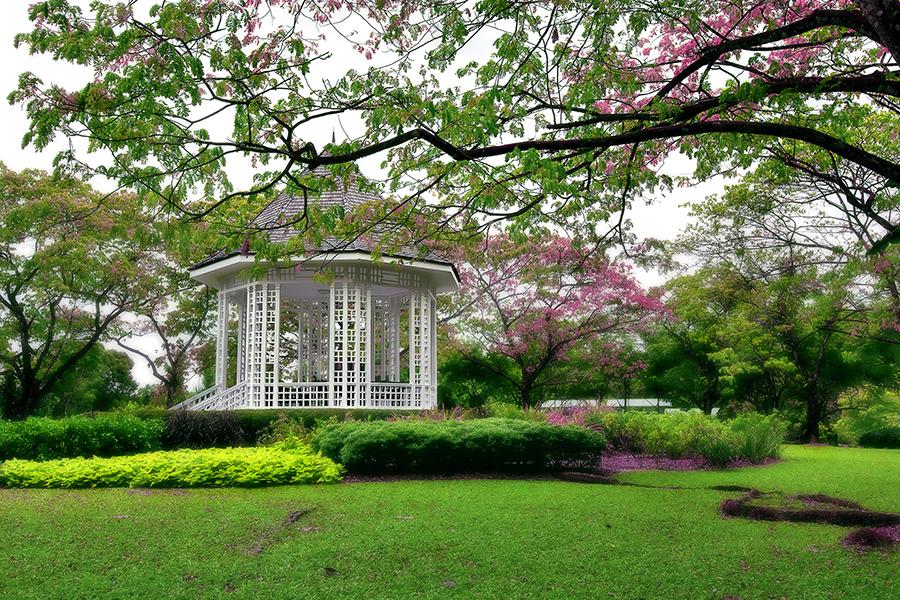 Wander through the beautiful Botanical Gardens