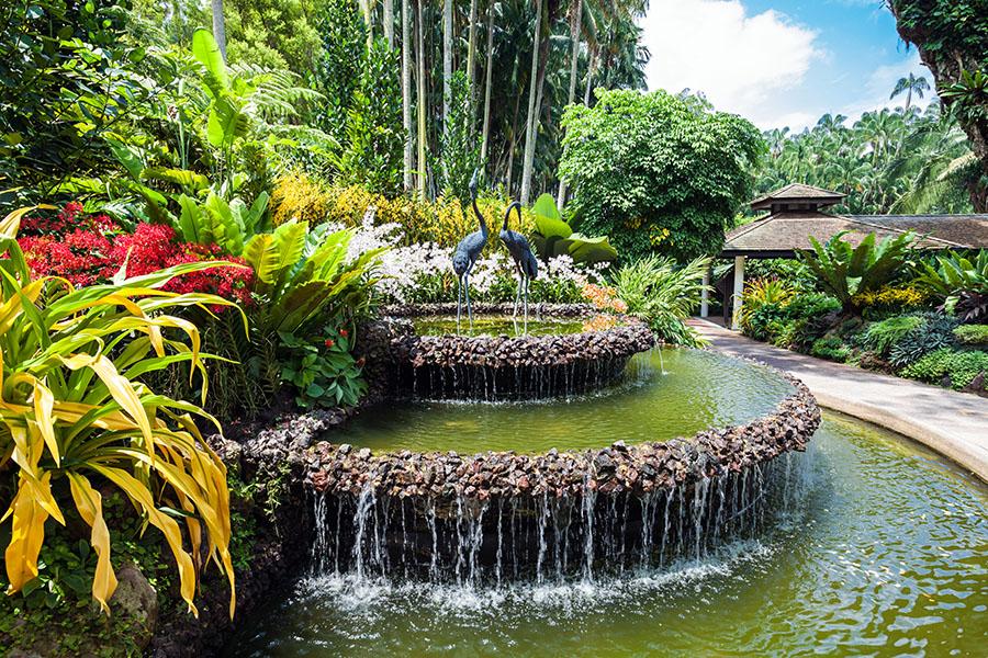 Wander through the fragant National Orchid Garden