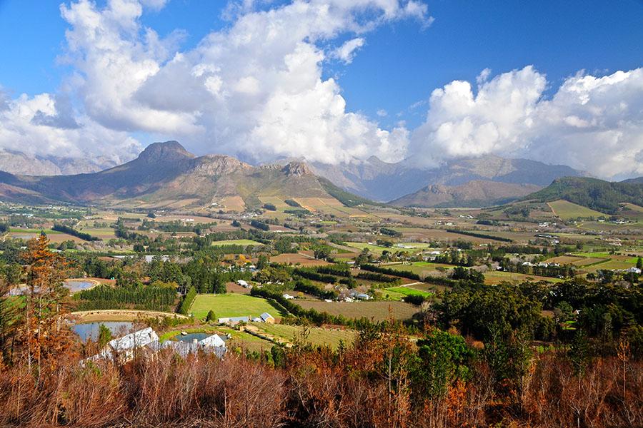 You've got the freedom to explore this beautiful wineland region