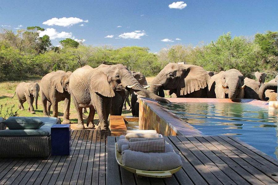 You may have some unexpected guests!