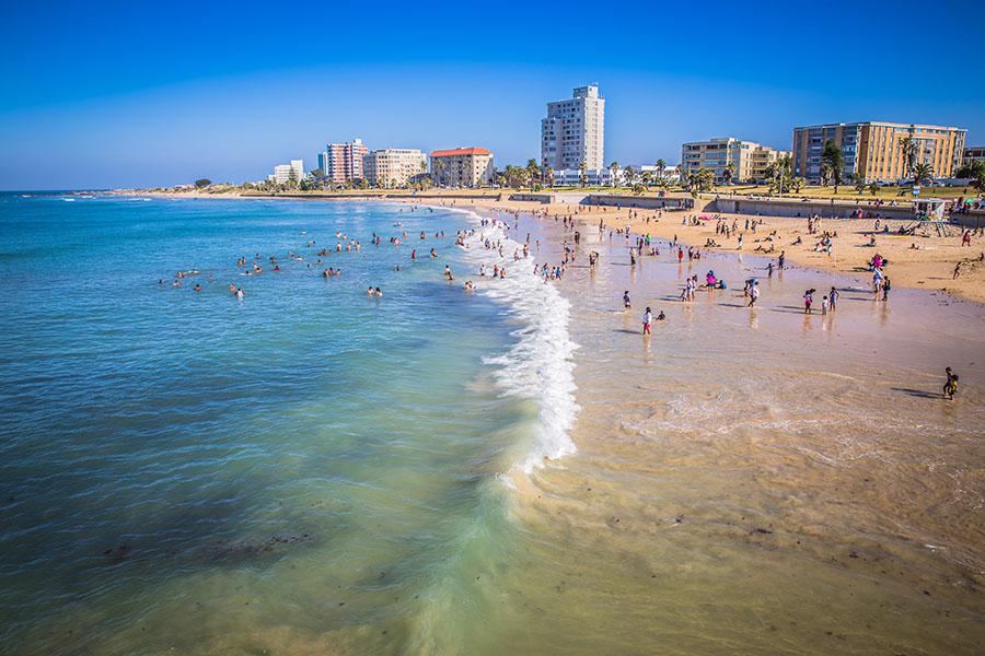 Start your adventure on the shores of Port Elizabeth