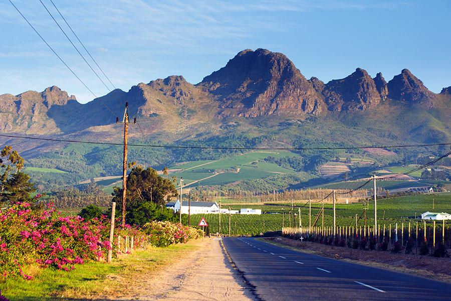 Stellenbosch