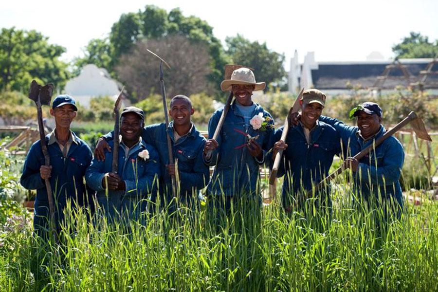 Be sure to check out ‘Babylonstoren’, a working Cape Dutch farm