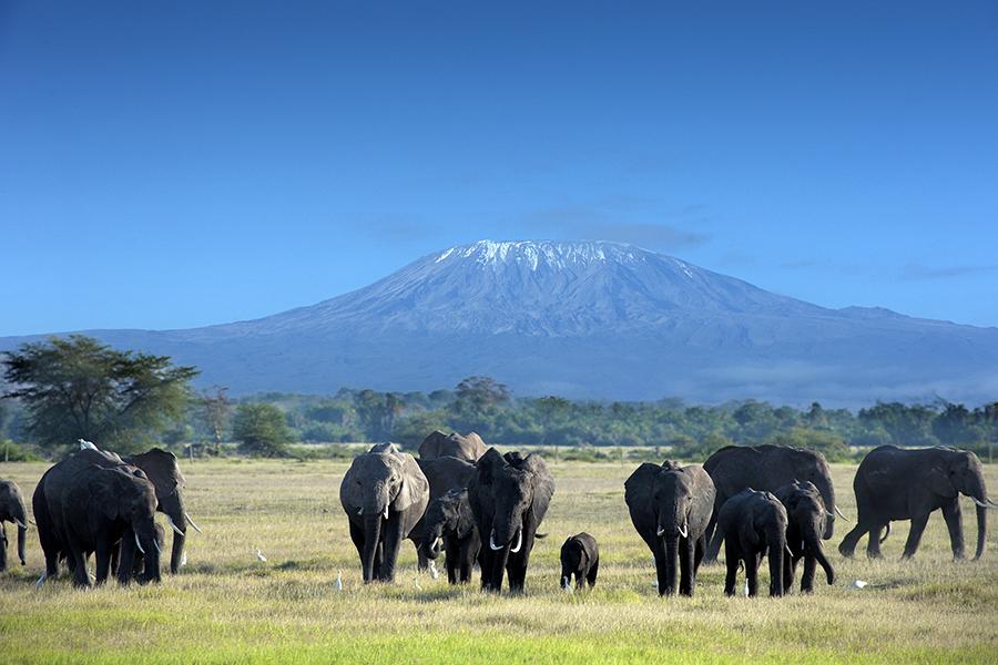 Mount Kilimanjaro, Tanzania