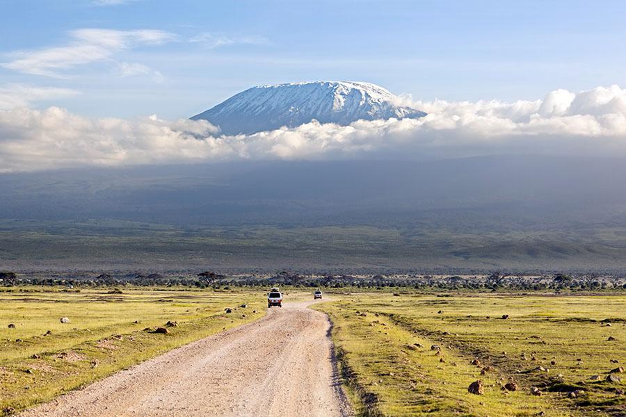 Hike through the National Park to mighty Mount Kilimanjaro