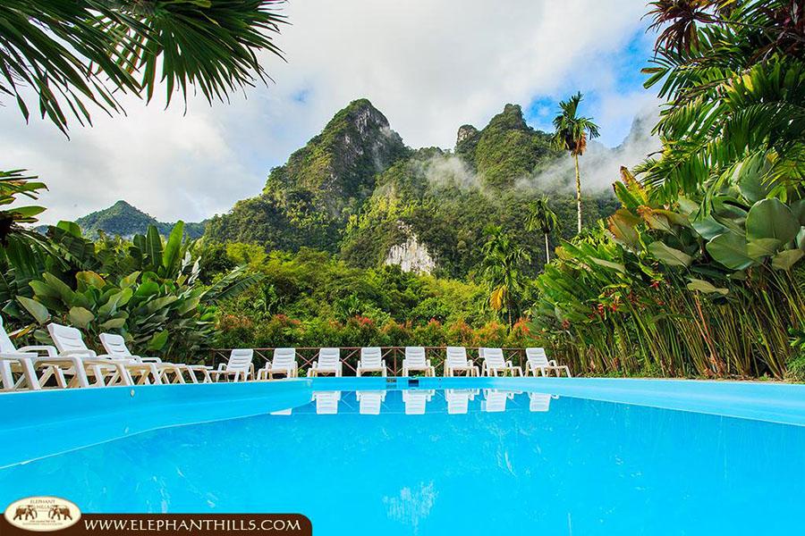 Go for a refreshing morning swim!