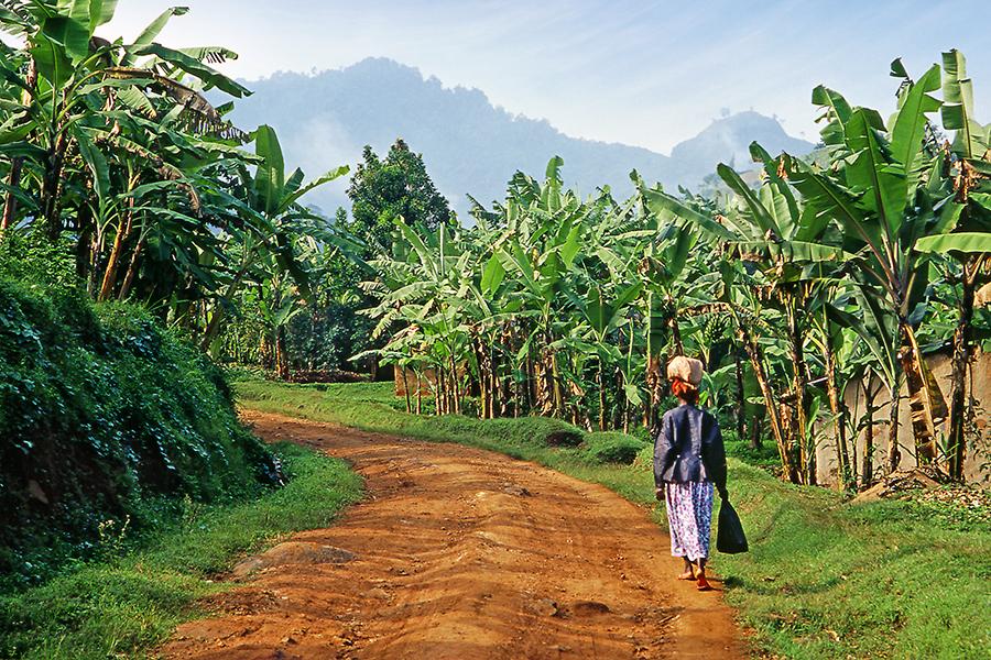 In the Highlands, Uganda | Top 10 things to do in Uganda