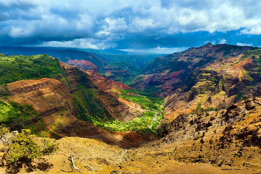 Enjoy the views from Waimea Canyon Drive 