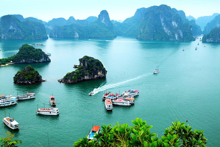 Admire the dramatic karsts as you sail through the beautiful Halong Bay 