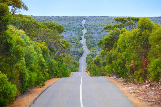Drive through Flinders Chase National Park | Travel Nation