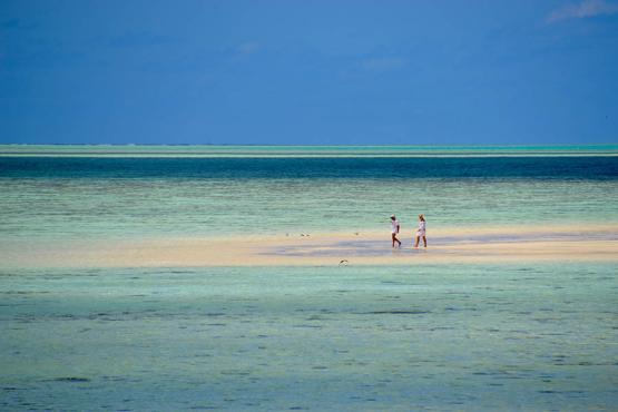 Discover perfect sandbars on Heron Island | Travel Nation