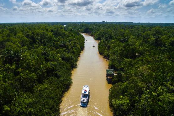 Take an Amazon river cruise like no other | Travel Nation