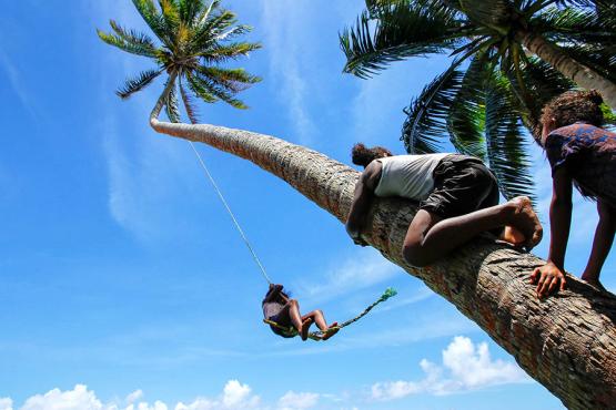 See the local kids climbing coconut palms in Fiji | Travel Nation