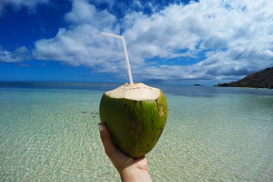 Sip coconuts and cocktails by the sea | Travel Nation