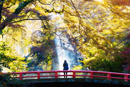 Explore Minoh Park in Osaka | Travel Nation