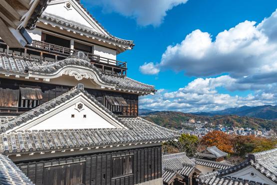 Experience ancient Japanese traditions in Matsuyama | Travel Nation