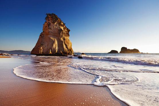 Visit the beautiful Cathedral Cove beach in New Zealand | Travel Nation