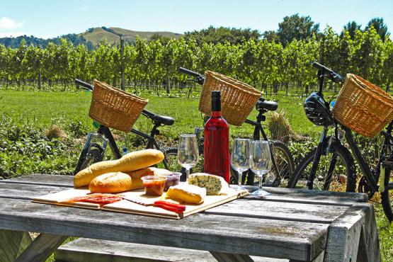 Stop for a scenic picnic in New Zealand's vineyards | Travel Nation