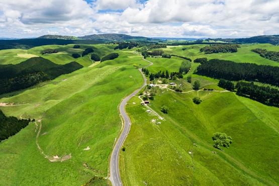 Drive through the scenery around Rotorua and feel like you're in The Shire | Travel Nation
