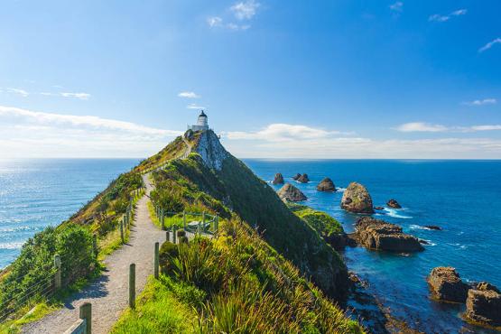 Make a side trip to sunny Kaka Point, NZ | Travel Nation