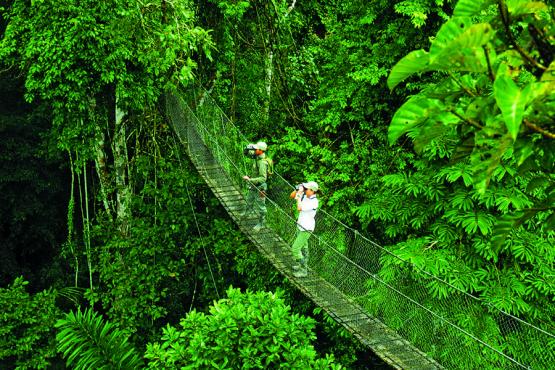 900x600-peru-reserva-amazonica-hanging-walkway-credit-inkaterra