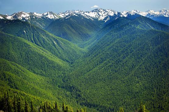 Soak up the views in Olympic National Park | Travel Nation