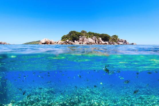 Snorkelling off the islands of the Seychelles | Travel Nation