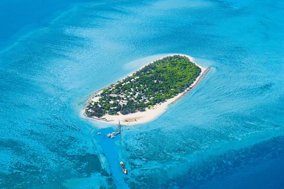 Heron Island - your own piece of paradise!
