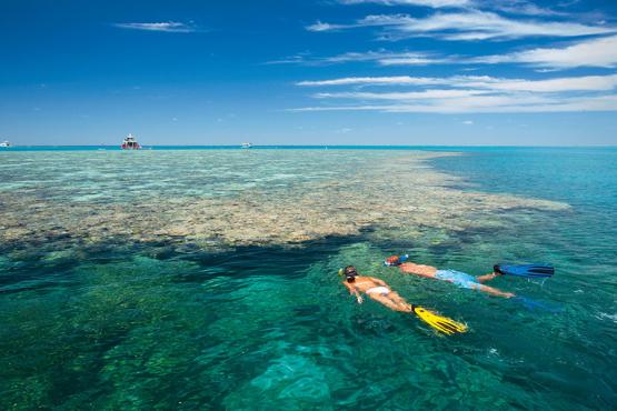Head out onto the Great Barrier Reef and snorkel with the tropical fish
