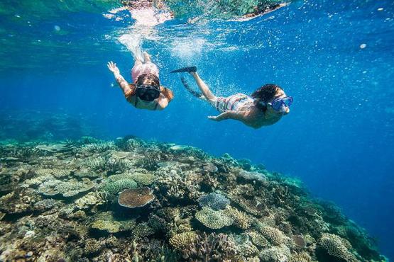 Make the most of your complimentary snorkel gear and get out onto the reef to spot the tropical fish