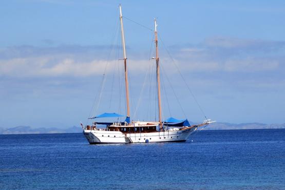 Enjoy a full day's excursion on the 100 foot schooner "Whale's Tale"