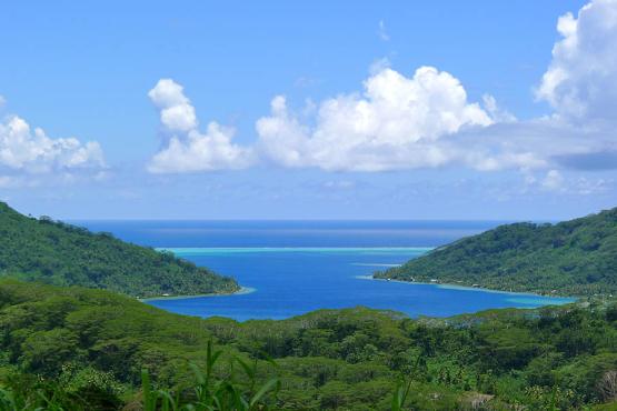 Taha’a shares an expansive lagoon with neighboring Raiatea