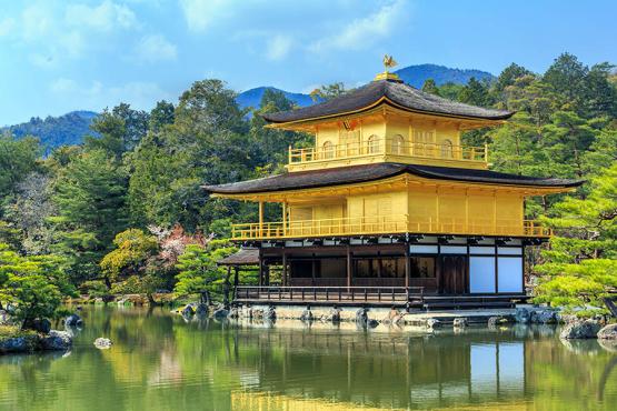 Watch the Golden Pavilion sparkle in the sunshine