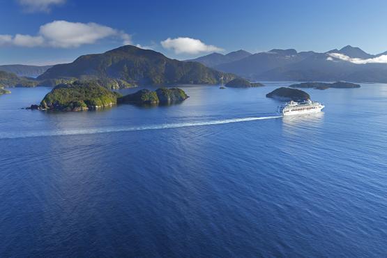 Explore the blue bays and green islands of Marlborough Sounds 