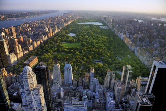 Enjoy panoramic views of New York City
